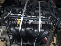Hyundai NF