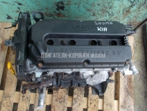 KIA Shuma